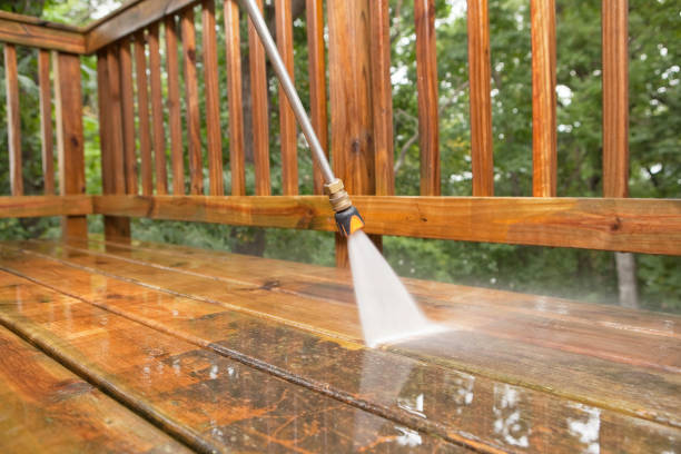 Animal Enclosure Cleaning in Wormleysburg, PA